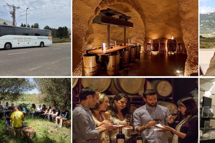 nueva web Rioja Alavesa