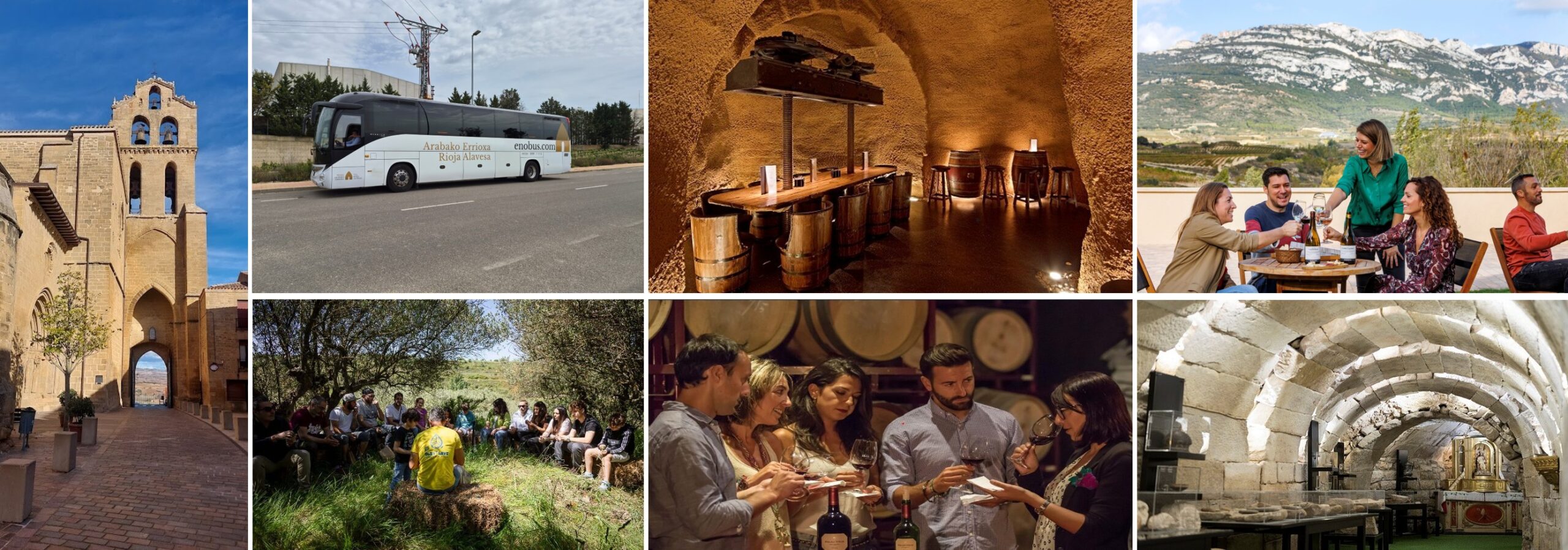 nueva web Rioja Alavesa