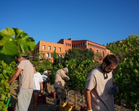 Bruno's Festival en Priorat