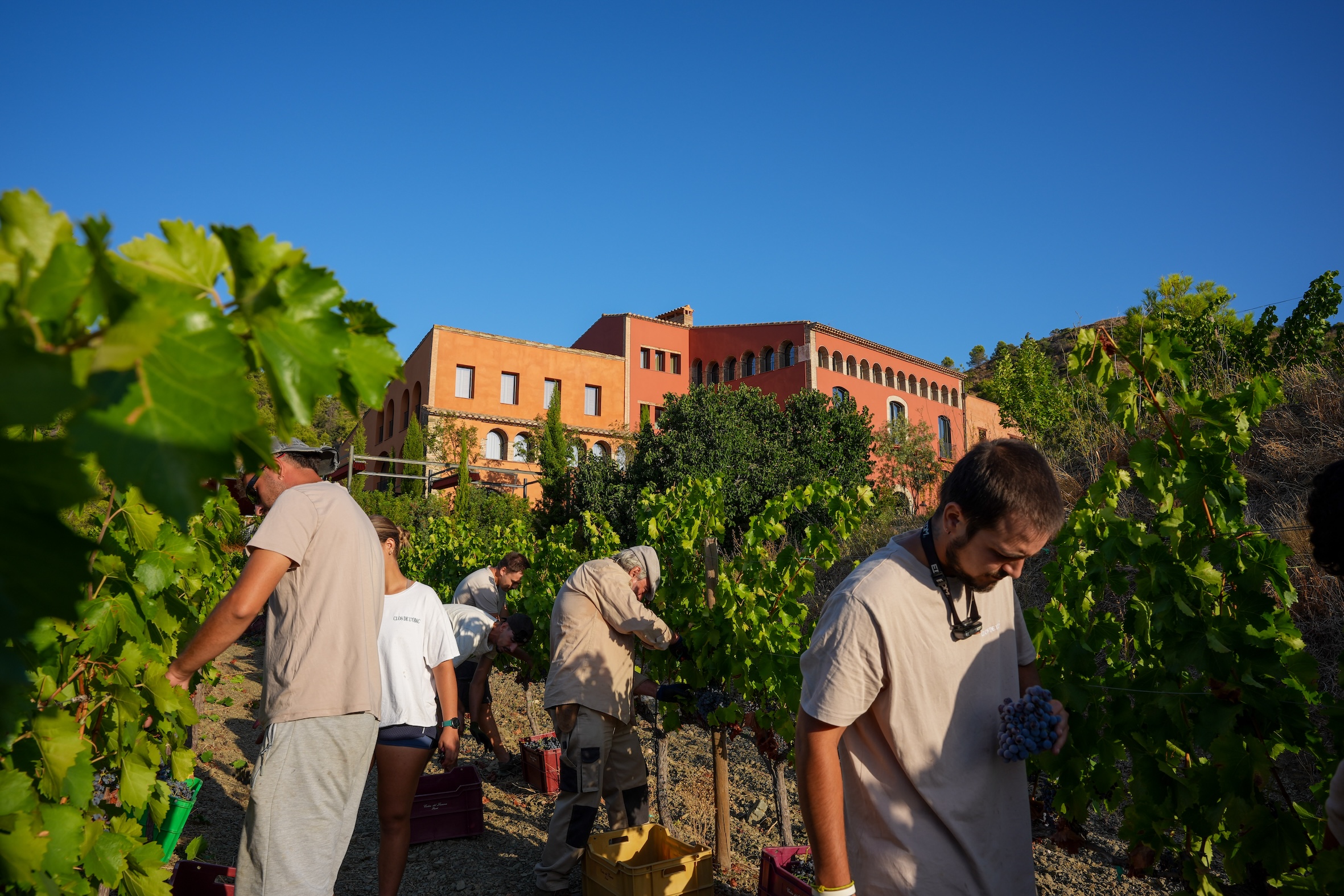 Bruno's Festival en Priorat